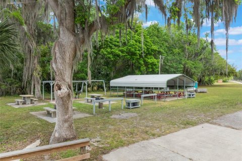 Land in Georgetown, Florida № 2163746 - photo 29