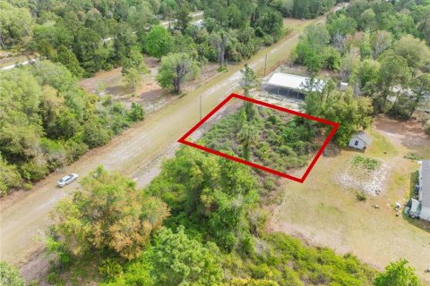 Land in Georgetown, Florida № 2163746 - photo 2