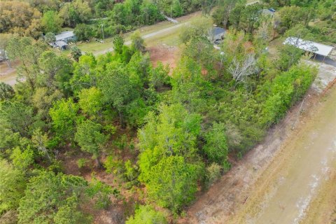 Land in Georgetown, Florida № 2163746 - photo 3