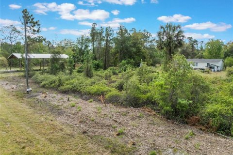 Land in Georgetown, Florida № 2163746 - photo 4