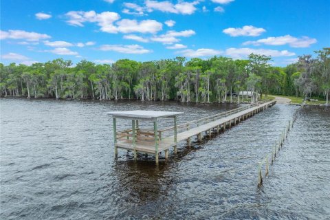 Land in Georgetown, Florida № 2163746 - photo 20