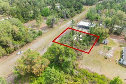 Land in Georgetown, Florida № 2163746