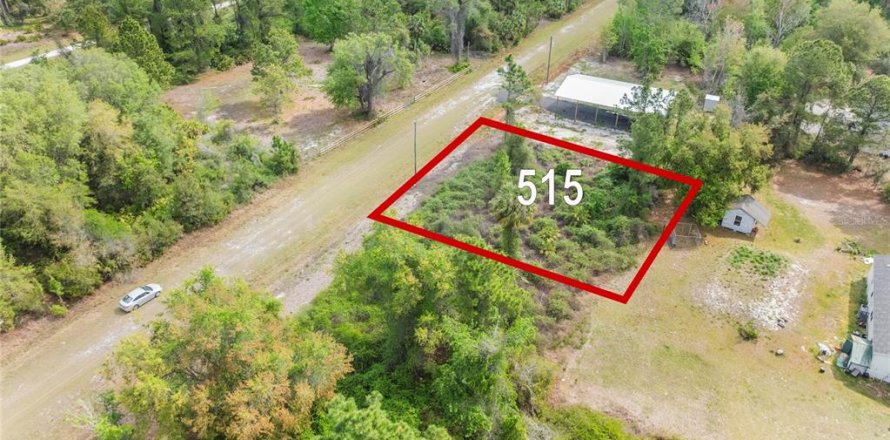 Land in Georgetown, Florida № 2163746