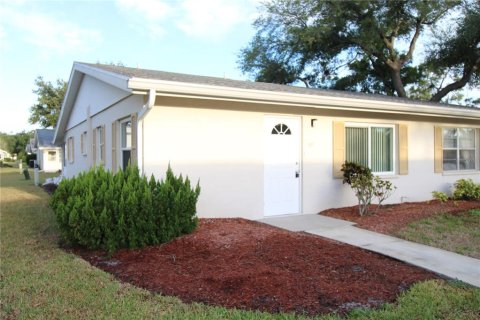 Condominio en alquiler en Sun City Center, Florida, 2 dormitorios, 91.42 m2 № 2099245 - foto 2