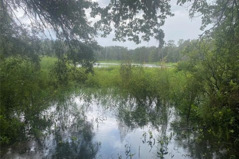 Terrain à Gainesville, Floride № 2347251