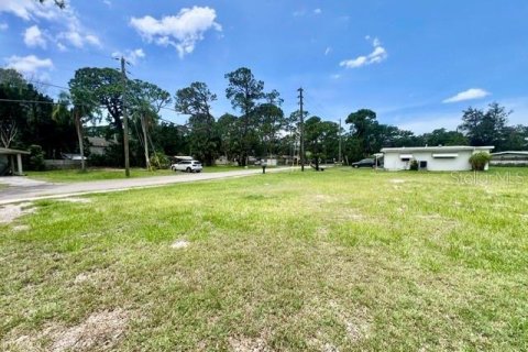 Land in New Port Richey, Florida № 2102403 - photo 19