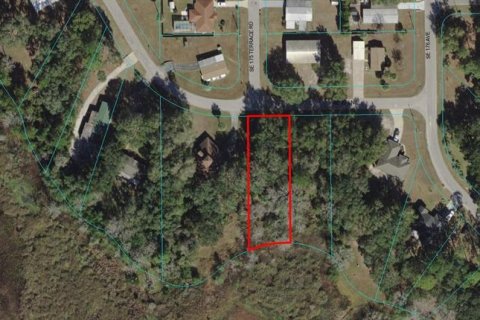 Land in Silver Springs Shores, Florida № 2164236