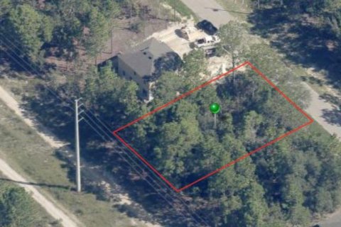 Land in Citrus Springs, Florida № 2161028