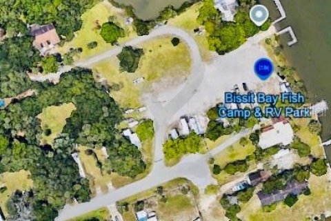 Land in Oak Hill, Florida № 1854603 - photo 8