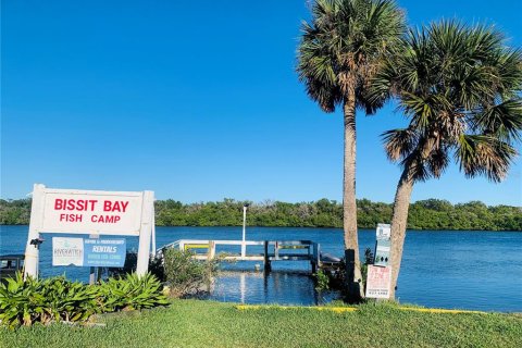 Land in Oak Hill, Florida № 1854603 - photo 1