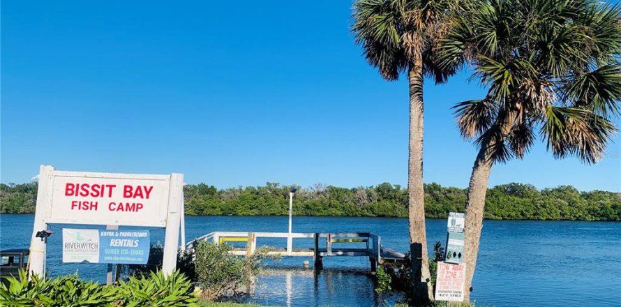 Land in Oak Hill, Florida № 1854603