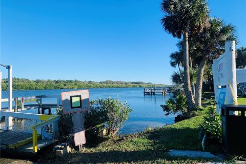 Land in Oak Hill, Florida № 1854603 - photo 4