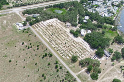 Terreno en venta en Lake Wales, Florida № 1673531 - foto 7