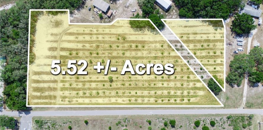 Terreno en Lake Wales, Florida № 1673531