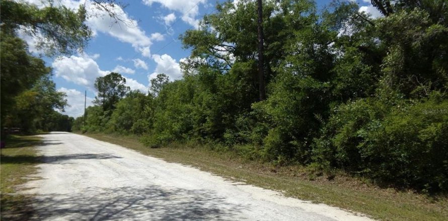 Land in Webster, Florida № 2393658