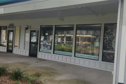 Propiedad comercial en alquiler en Gainesville, Florida, 143.26 m2 № 1829045 - foto 5