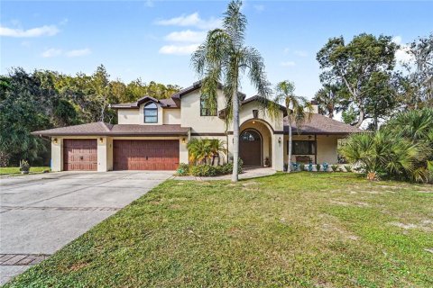 Villa ou maison à Port Richey, Floride 5 chambres, 360.83 m2 № 2437269