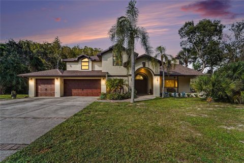 Villa ou maison à vendre à Port Richey, Floride: 5 chambres, 360.83 m2 № 2437269 - photo 2
