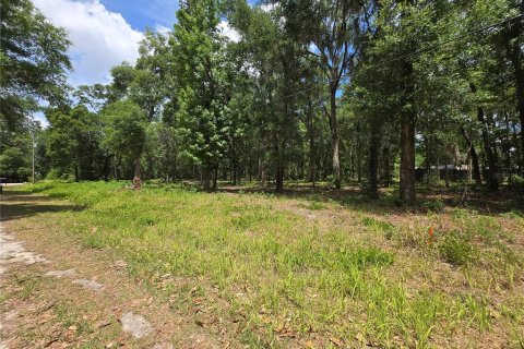 Land in Ocala, Florida № 2166706 - photo 2