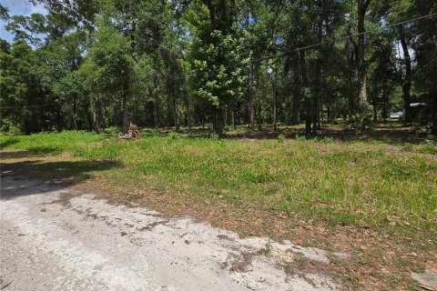 Land in Ocala, Florida № 2166706 - photo 4