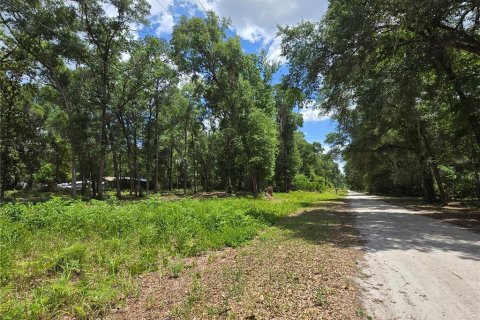 Land in Ocala, Florida № 2166706 - photo 5