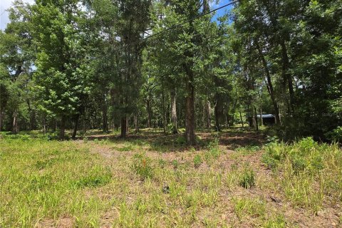 Land in Ocala, Florida № 2166706
