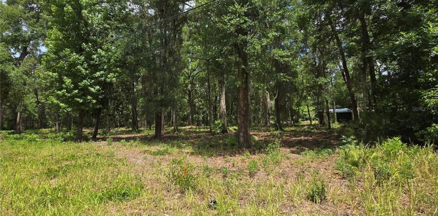 Land in Ocala, Florida № 2166706