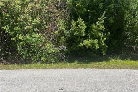 Terrain à Palm Coast, Floride № 2101520
