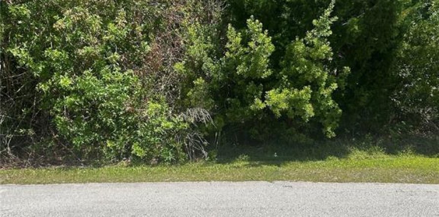 Terrain à Palm Coast, Floride № 2101520