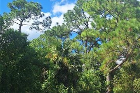 Land in Lehigh Acres, Florida № 2229612