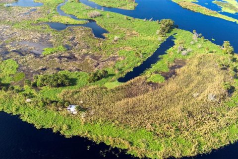 Land in Osteen, Florida № 2232989 - photo 5