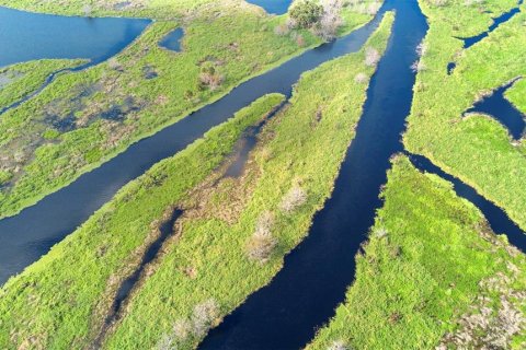 Land in Osteen, Florida № 2232989 - photo 16