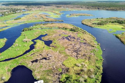 Land in Osteen, Florida № 2232989 - photo 13