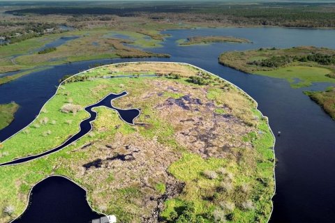 Land in Osteen, Florida № 2232989 - photo 3