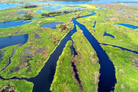 Land in Osteen, Florida № 2232989 - photo 19