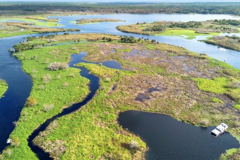 Land in Osteen, Florida № 2232989 - photo 12