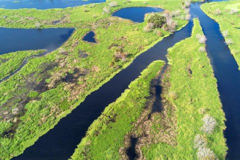 Land in Osteen, Florida № 2232989 - photo 21