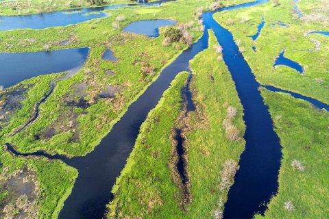 Land in Osteen, Florida № 2232989 - photo 18