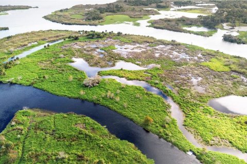 Land in Osteen, Florida № 2232989 - photo 11