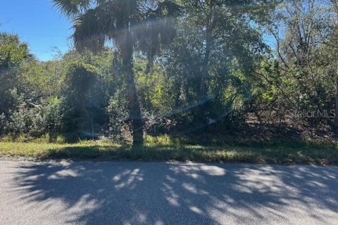 Land in Punta Gorda, Florida № 2161293