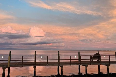 Copropriété à louer à Saint Petersburg, Floride: 2 chambres, 66.89 m2 № 2156573 - photo 27