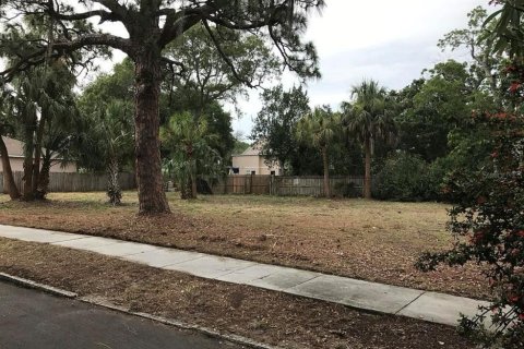 Land in Saint Petersburg, Florida № 1842352 - photo 4