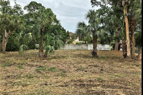 Land in Saint Petersburg, Florida № 1842352 - photo 3
