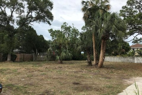 Land in Saint Petersburg, Florida № 1842352 - photo 1