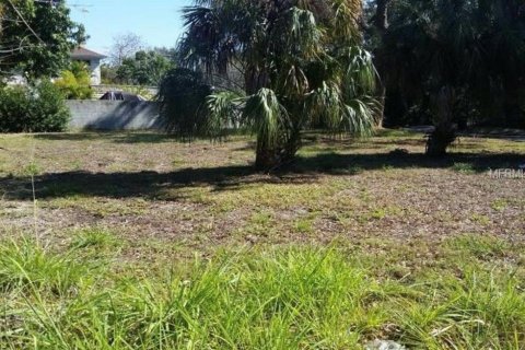 Land in Saint Petersburg, Florida № 1842352 - photo 2