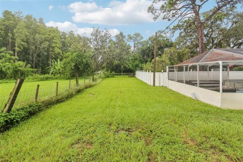 House in New Port Richey, Florida 3 bedrooms, 167.22 sq.m. № 1915043 - photo 24