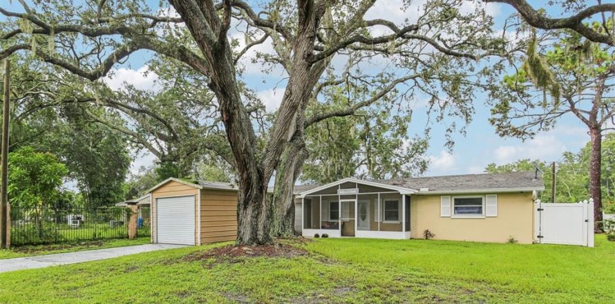 House in New Port Richey, Florida 3 bedrooms, 167.22 sq.m. № 1915043