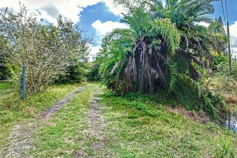 Terrain à vendre à Ruskin, Floride № 1561788 - photo 5