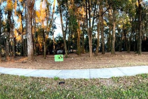 Land in Dade City, Florida № 2093206
