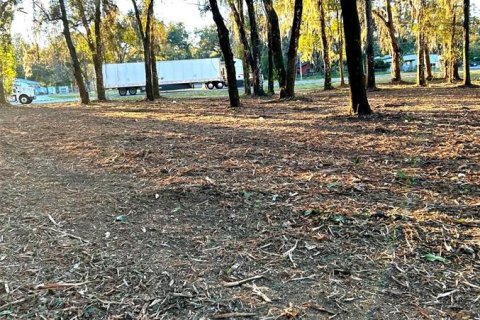 Land in Dade City, Florida № 2093206 - photo 3